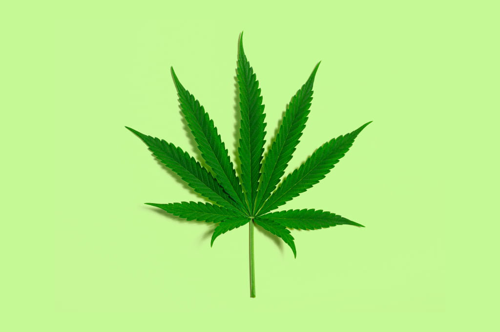 დასჯადია თუ არა მარიხუანას მოხმარება